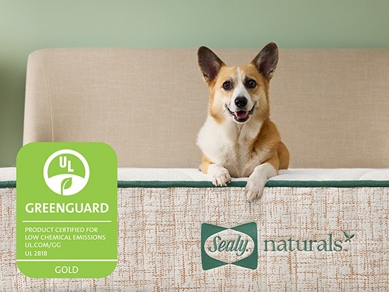 SealyNaturals Greenguard Lifestyle Padding