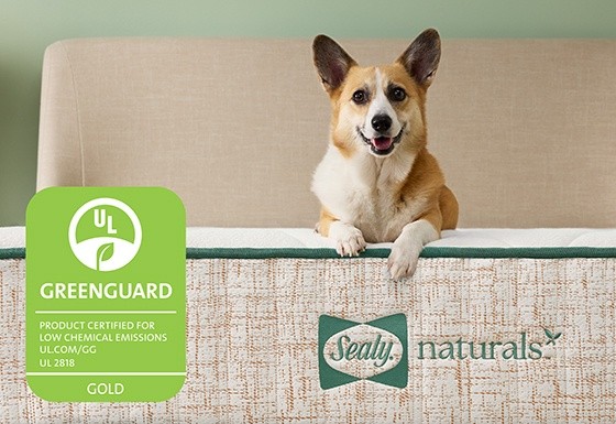 SealyNaturals Greenguard Lifestyle