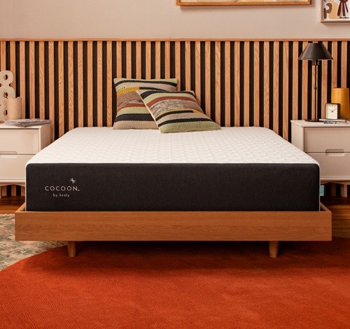 a cocoon foundation in a lifestyle room