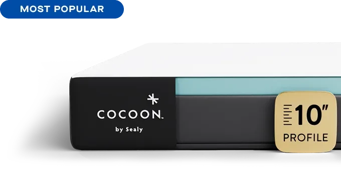 Cocoon_Sealy_Foam_Profile.