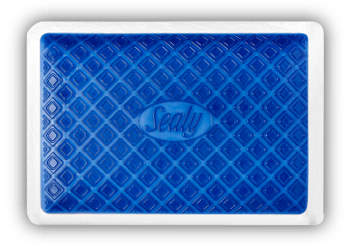 Sealy Gel Pillow