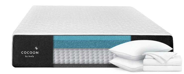 cocoon-hybrid-plus-bundle.png