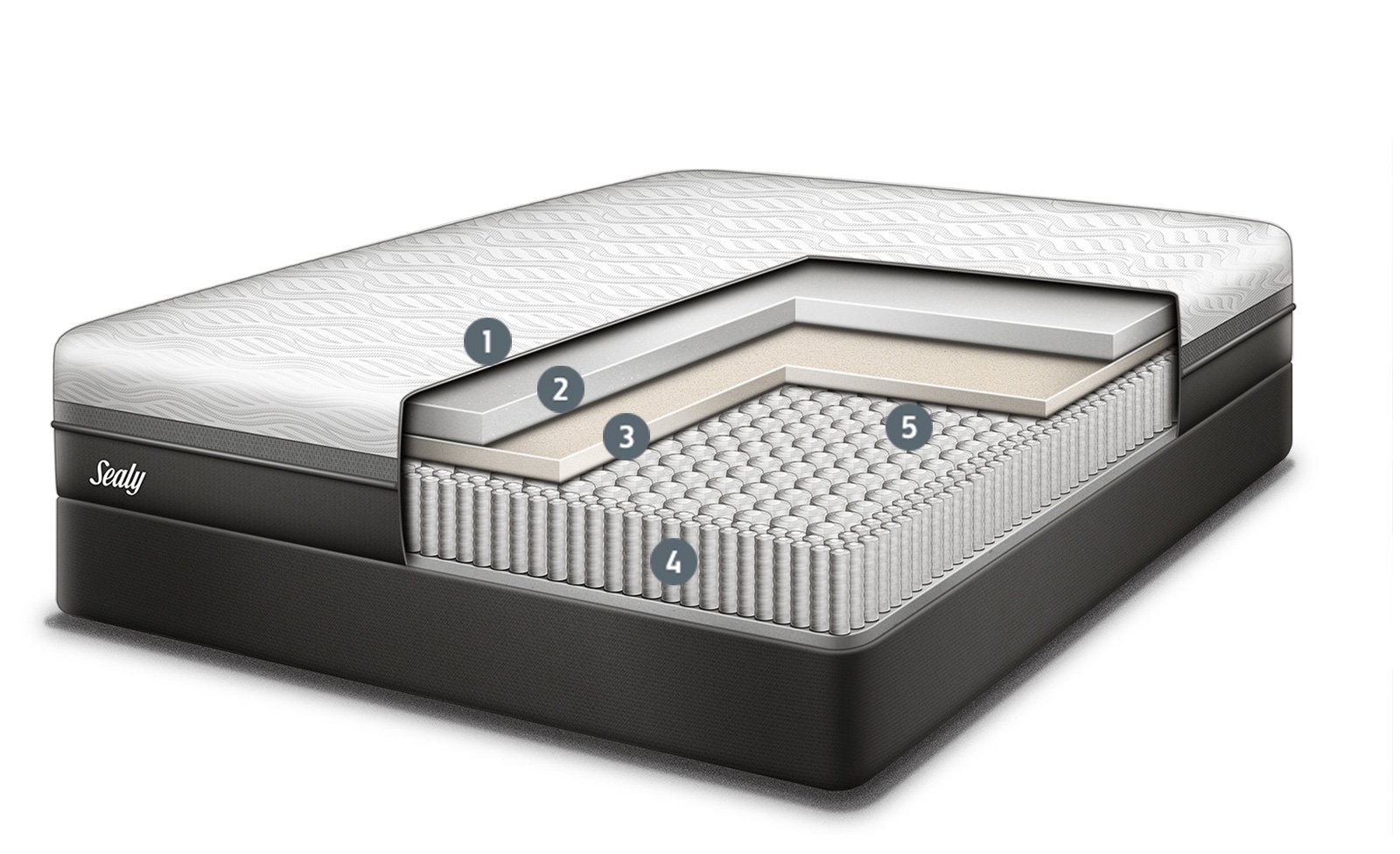 Difference Between Sealy Mattresses At Dorothy Lessard Blog Difference Between Sealy Mattresses At Dorothy Lessard Blog